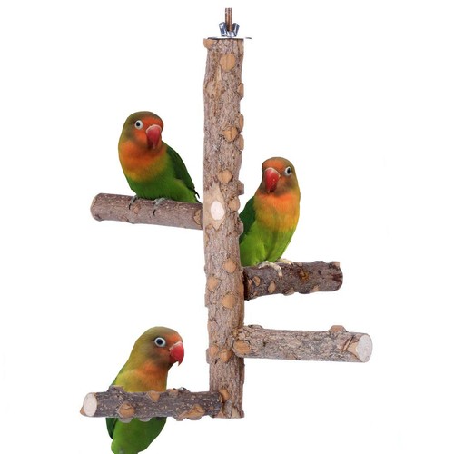 Uccellino persico supporto - , in