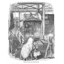 GRANDE ESPOSIZIONE Palazzo di Cristallo; Isole Ionie e Corte di Ceylon - Vecchia Stampa 1851