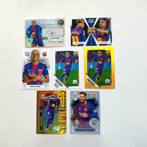 Panini club barcelona - panini,