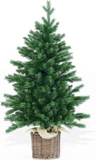 Albero Di Natale Pinetto