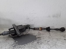 CANNA DELLO STERZO (PIANTONE)