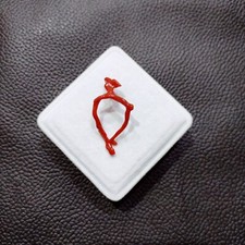 Antico ramo di corallo rosso