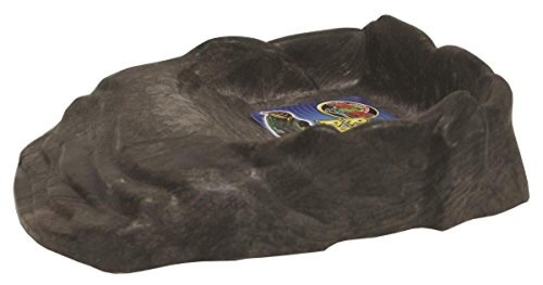 Zoomed t6016411 repti - zoomed,