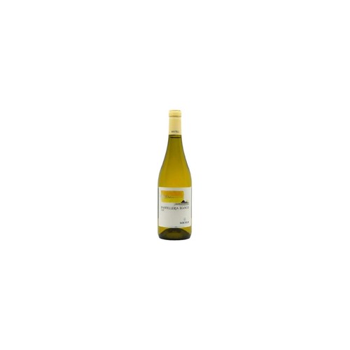 Moscato pantelleria bianco - pantelleria,