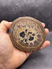 Minerali ** Septaria - Taouz, Marocco (Car) 10cm