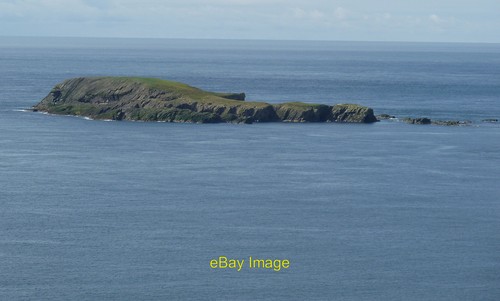 Photo 6x4 horse holm from - horse,