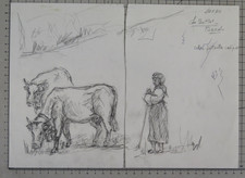 OLD DRAWING SHEPHERD WITH COWS