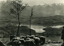 AMATRICE - Il pittoresco Lago