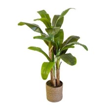 Albero Pianta di Banano 1.50m artificiale  strelizia arredomoderno di qualità
