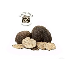 Tartufo nero estivo - tartufo,