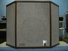 COPPIA DI CASSE americana AR mod.LST..splendida..UN' ICONA nel mondo HI. END...