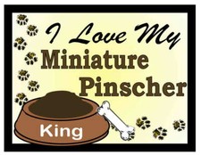 PINSCHER IN MINIATURA