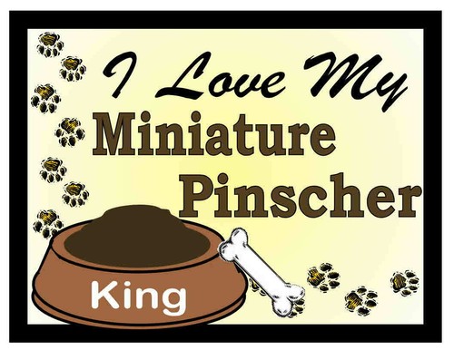 Pinscher miniatura - in,