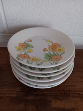 Set 6 piatti 7 pollici vintage