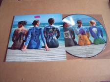 NEW 33T  PICTURE DISC PINK FLOYD  MINT CONDITION