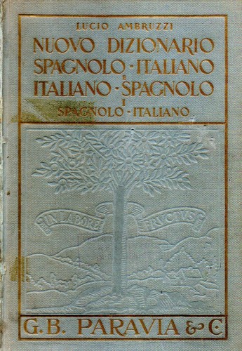 Nuovo dizionario spagnolo - nuovo,