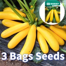 3 Sacchetti Di Semi Di