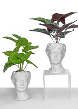 1 PZ Testa DEA in porcellana