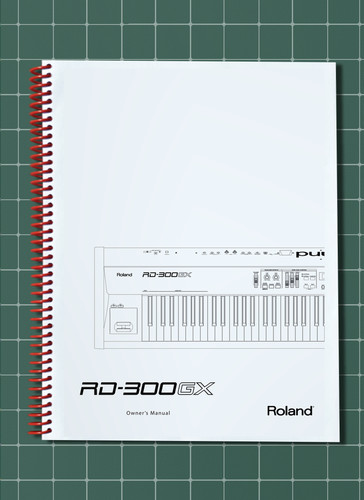 Roland 300gx 2 in 1 - roland, —