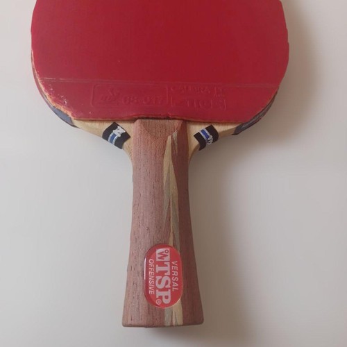 Racchetta ping pong tsp - racchetta,