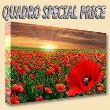 QUADRI MODERNI TELA 30X50