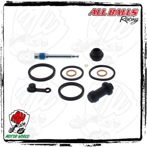 Kit revisione pinza - revisione,