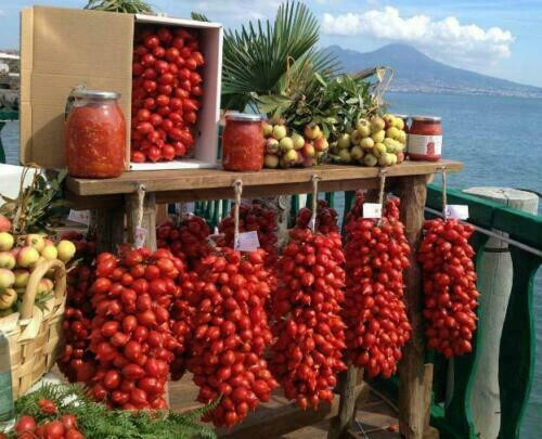 Pomodoro piennolo del vesuvio - del,