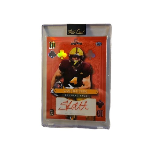 2024 wild card - wild,