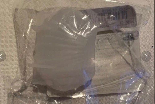 Pezzo cozza ostrica in - 1,