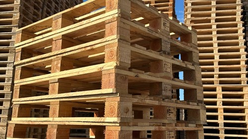 Lotto 100 pallets bancali - lotto,