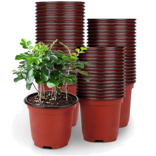 Piantine vasi plastica - piantine,,