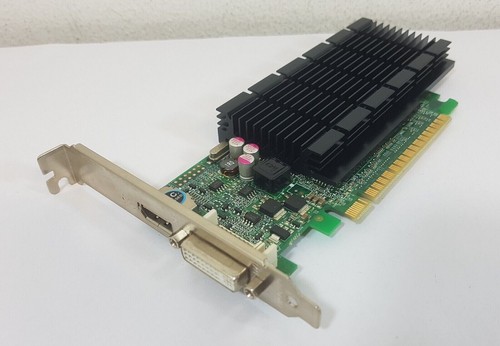 Scheda grafica pci express - grafica,