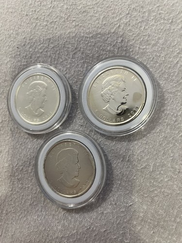 2011 canada timber - canada, 5