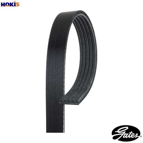 Cinghia vibrante 5pk1343 per - 5pk1343,