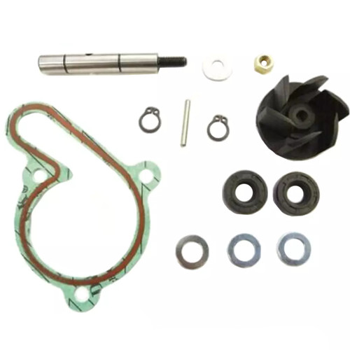 Kit revisione pompa acqua - revisione,