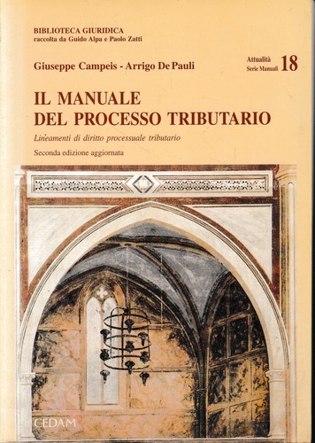 Manuale del processo - il,