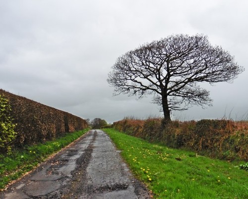 Photo 6x4 rifton lane - photo,