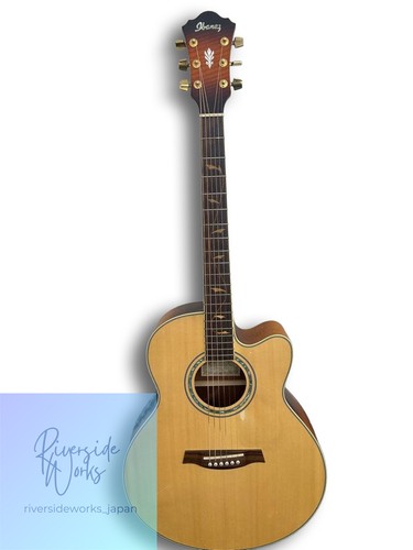 Elettroacustica ibanez - elettroacustica,