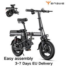 ENGWE T14 Folding Biciclette Elettriche 250W 25km/h 48V 10Ah City Mini E-Bike 