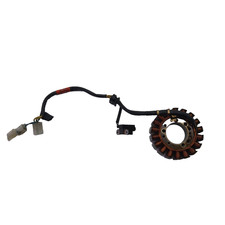 Statore magnete generatore - statore,