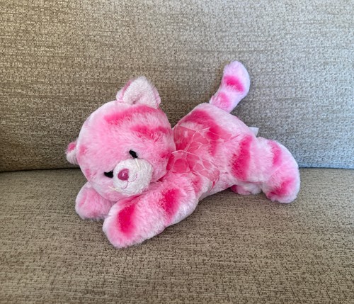 Aurora milly gatto gattino - gatto,