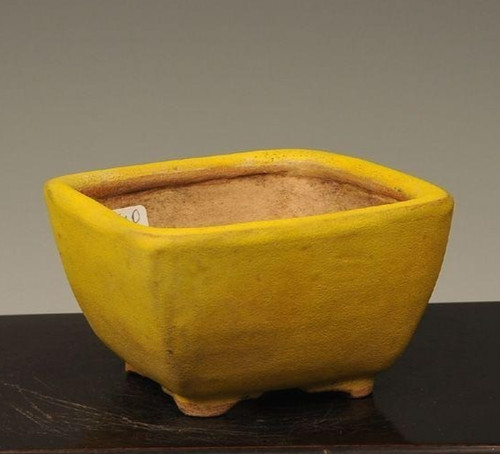 Vaso per bonsai - , giapponese