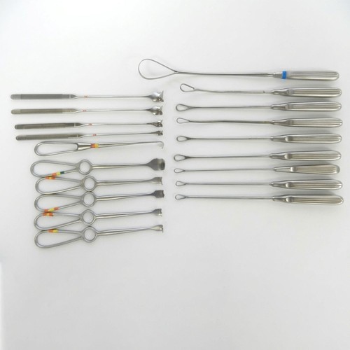 D5901 mueller jarit - d5901, v.