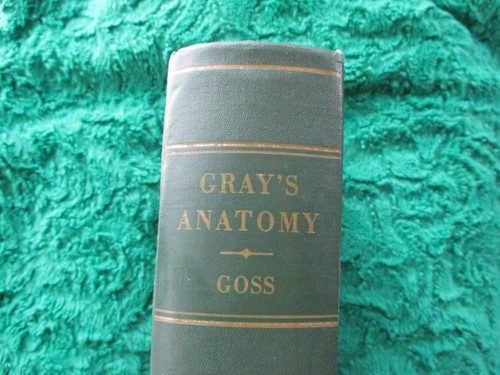 Gray anatomy goss edited - gray's,
