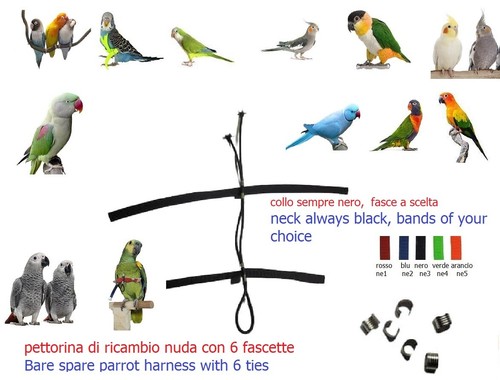 Ricambio pettorina pappagalli - ricambio,