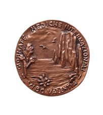 *HH* Medaglia Giornate Mediche Vibo Valentia Calabria Camboni Medico Medicina 