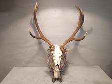Grande Trofeo Corna Di Cervo