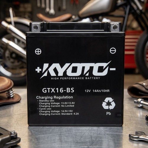 Batteria moto bmw - r, 1250