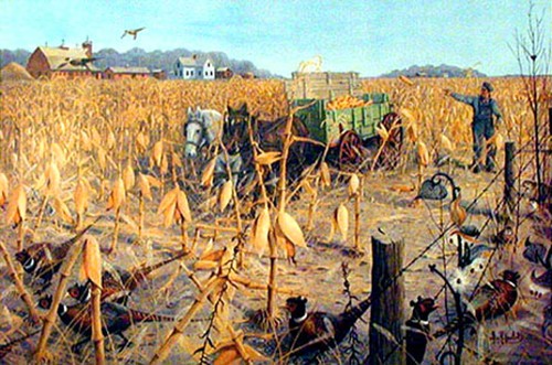 Corn pickin negli - corn, pickin’
