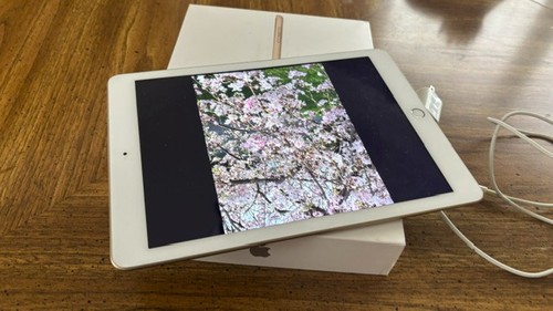 Apple ipad - apple,